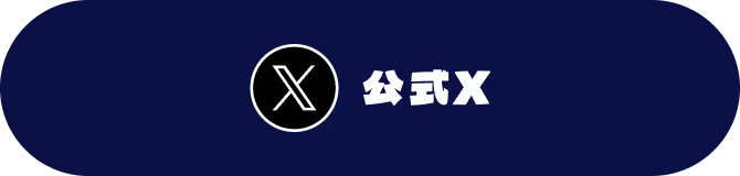 公式X